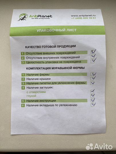 Муравьиная ферма без муравьев