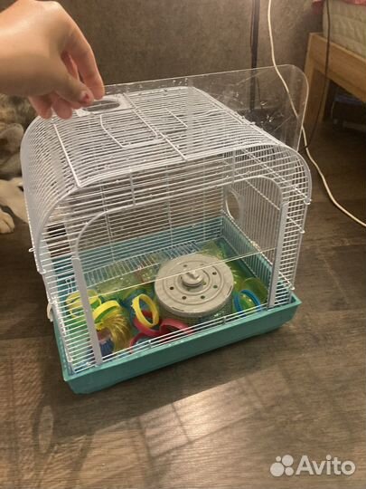 Клетка для хомяка бу