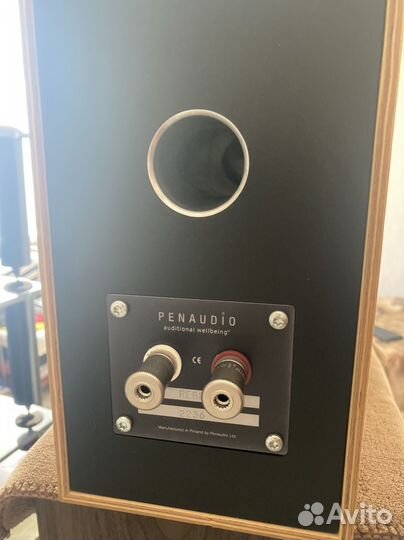 Колонки penaudio