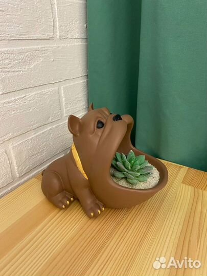 Кашпо бульдог «Берни»