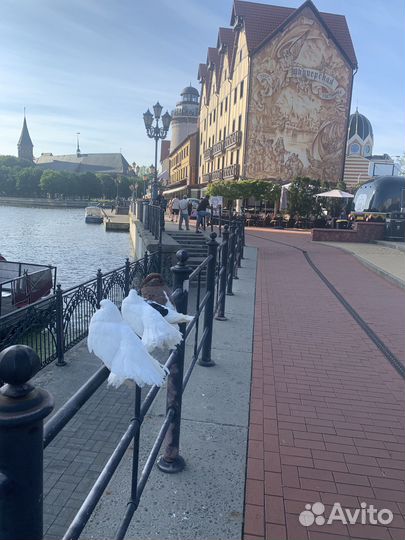 Экскурсионные туры в Калининград от 3 дней