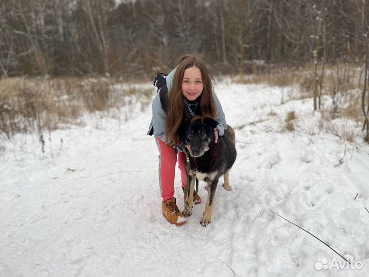Выгул/няня для собак и кошек