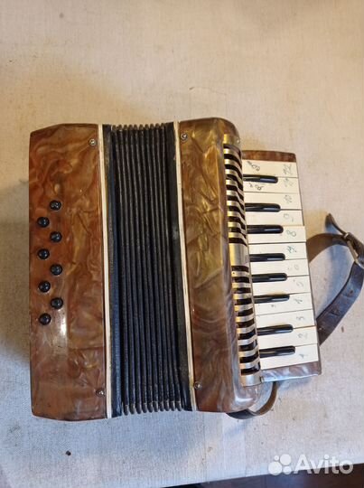 Аккордеон детский