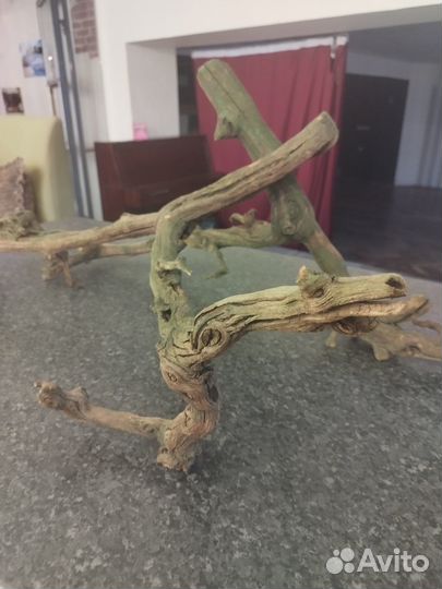 Большие коряги для аквариума