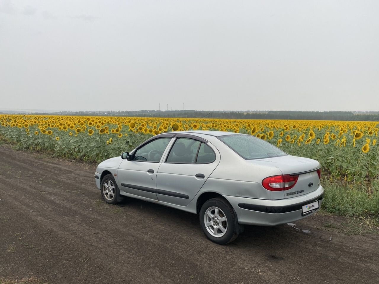 Renault Megane: фото владельца