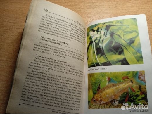 Домашний аквариум справочник