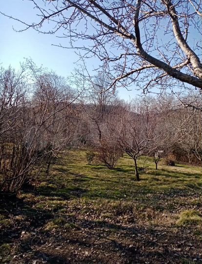 Участок 8 сот. (ИЖС)