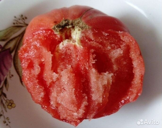 Семена томатов
