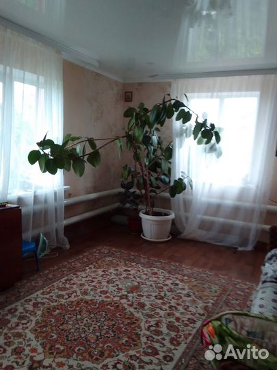 Продам фикус