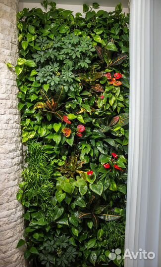 Уход полив за растениями,озеленитель,фитодизайн