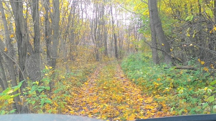 Участок 42 га (ИЖС)