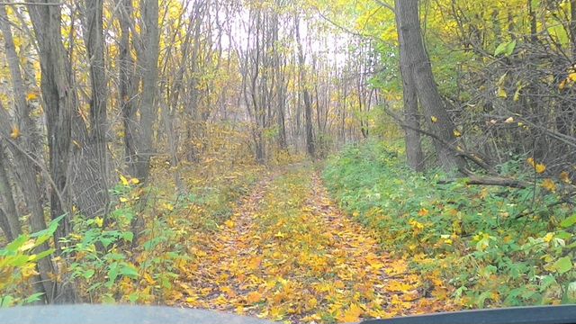 Участок 42 га (ИЖС)