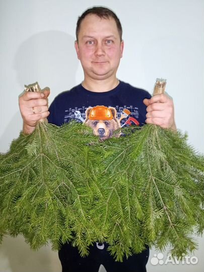 Веники пихтовые 3 шт. от Лесного жителя