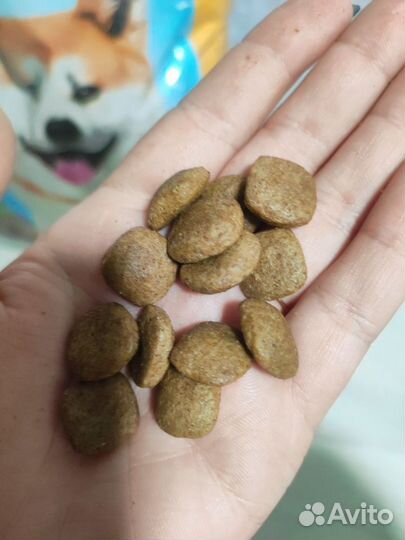 Продам сухой корм для собак Jolly Dog