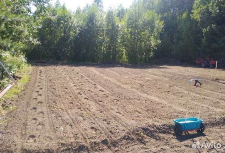 Газон под ключ