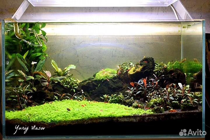 Светильники светодиодные