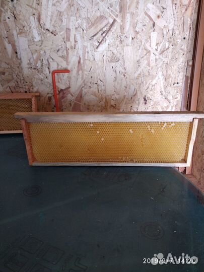 Сушь для пчёл