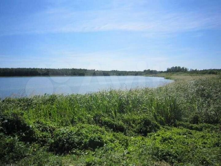 устье,. земельный участок фото. д устье конаковский район. радченко тверская область фотографии. почва в конаково.