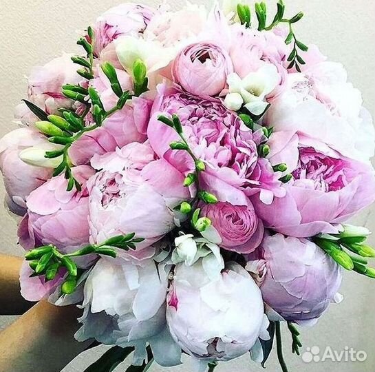 Пионы Цветы Доставка