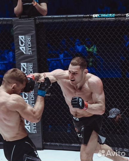 Тренер по боксу и мма