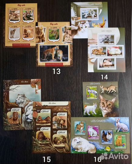 Коллекция фауна Кошки (чистые )