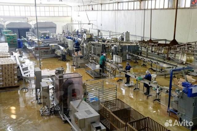 Обработчик, укладчик морепродуктов