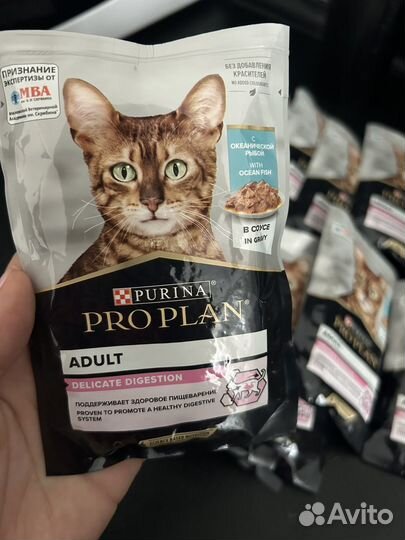 Корм для кошек Purina Pro Plan влажный и сухой