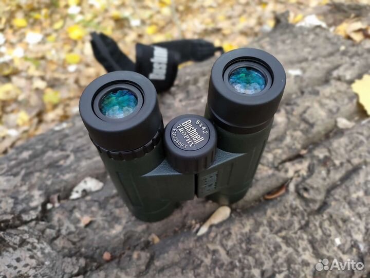 Бинокль Bushnell Trofy 8x42