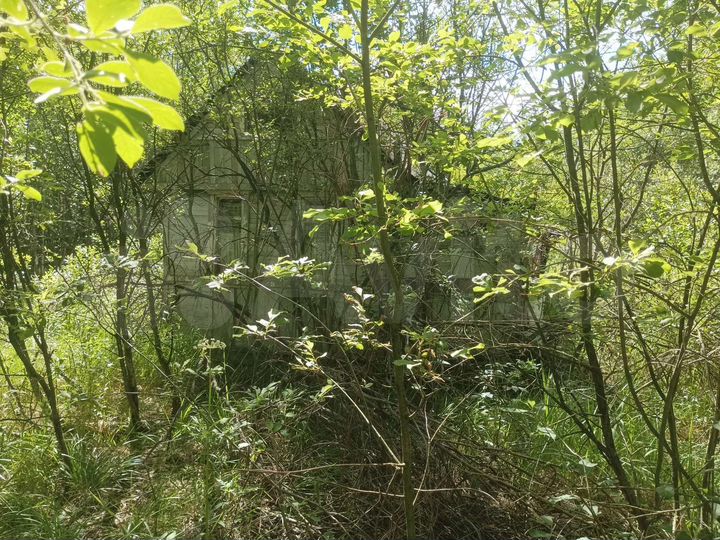 Участок 15 сот. (СНТ, ДНП)