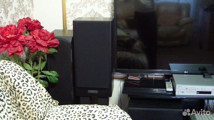 Акустика Пионер CS 5030