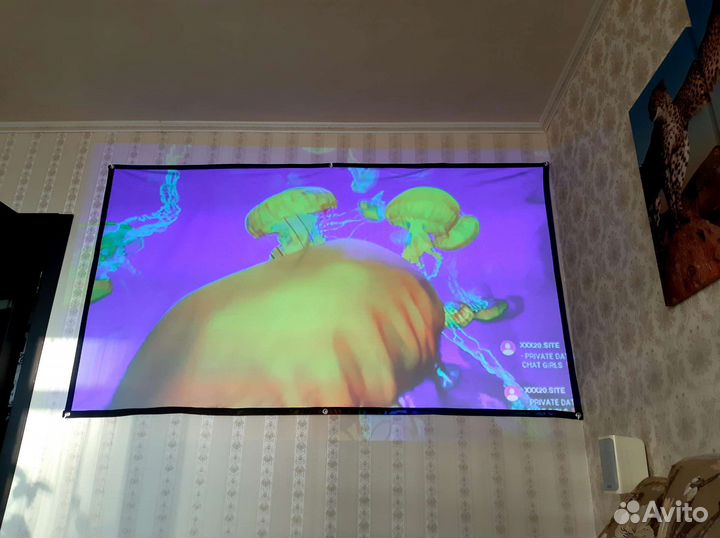 Экран для проектора