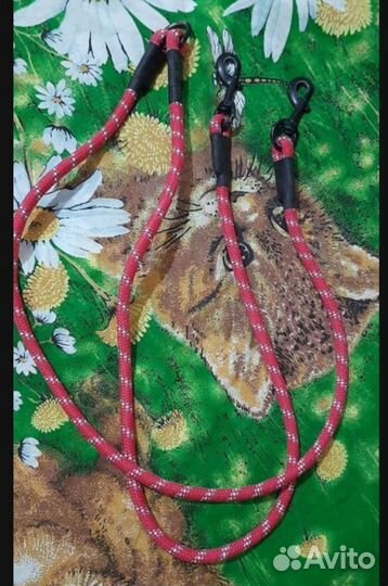 Одежда для собак