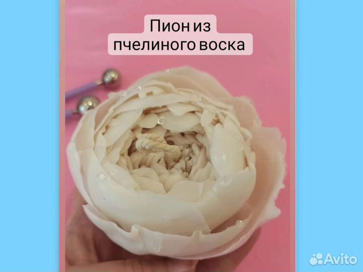 Пчелиный воск белый опт