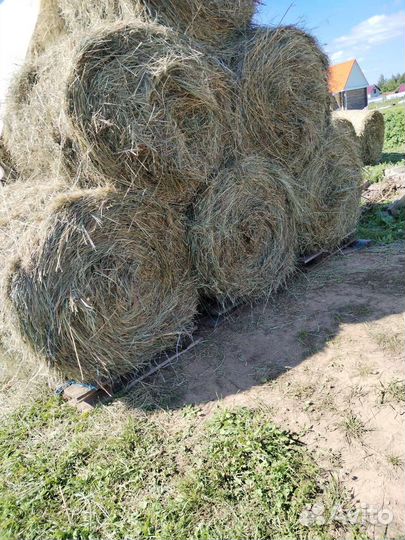 Сено в рулонах