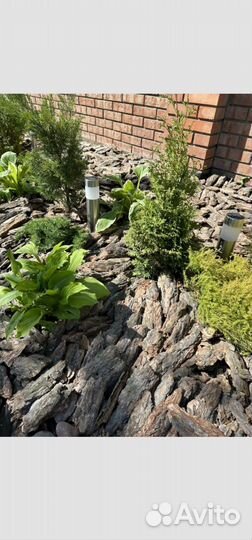 Мульча, сосновая кора,кора сосны,декор