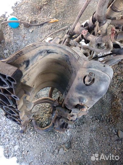 Хендай акцент коллектор впускной