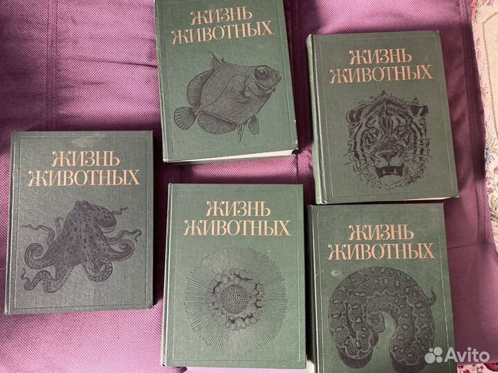 Мир животных энциклопедия