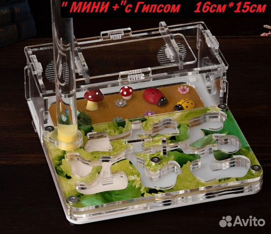 Муравьиная ферма