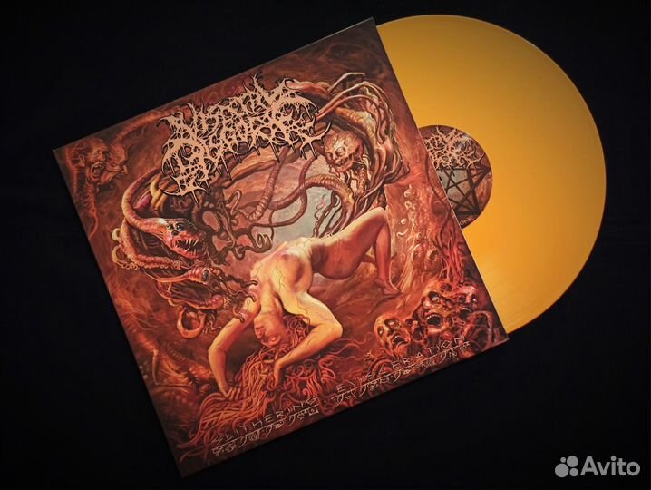 Виниловые пластинки Death Metal/Brutal/Technical