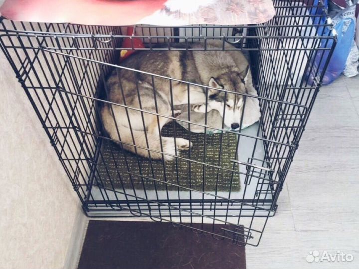 Клетка для собак