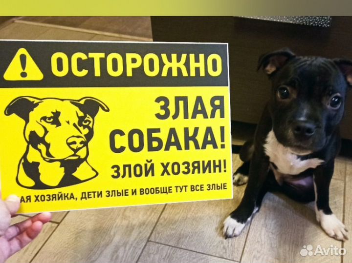 Табличики на дом злая собака