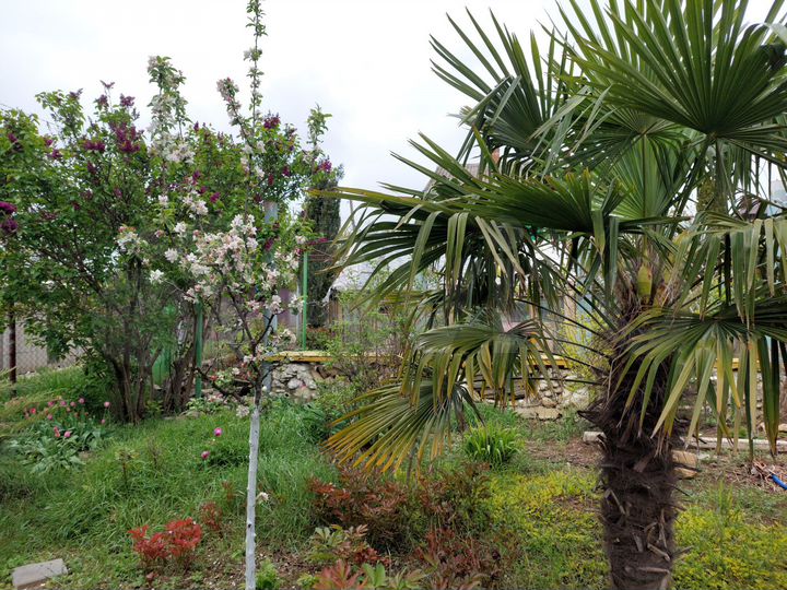 Участок 7,5 сот. (СНТ, ДНП)