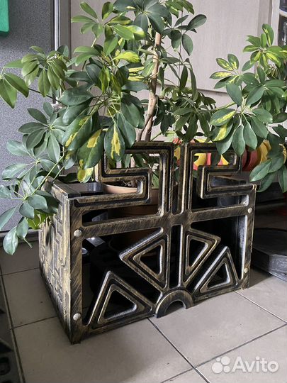 Цветочница уличная