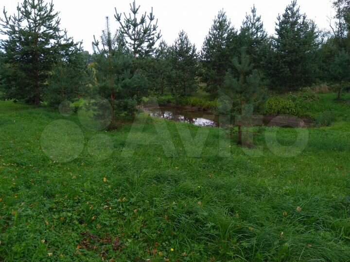 Участок 50 сот. (ИЖС)