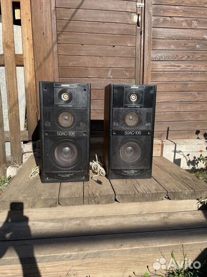 Колонки Вега 50ас 106