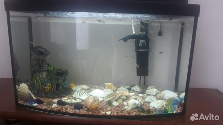 Аквариум