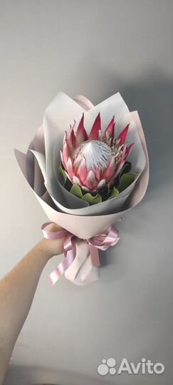 Протея королевская цветы букет