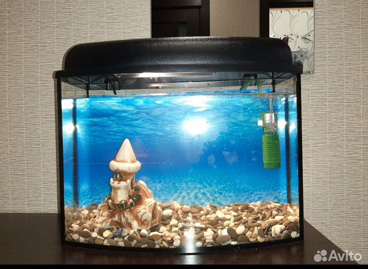 Аквариум