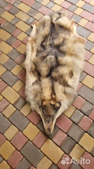 Шкура волка