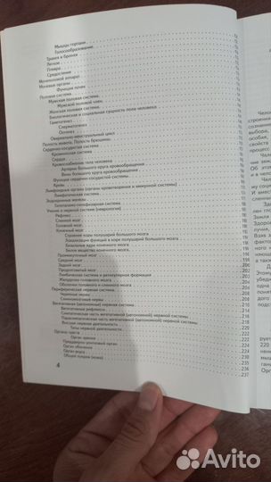 Анатомия человека